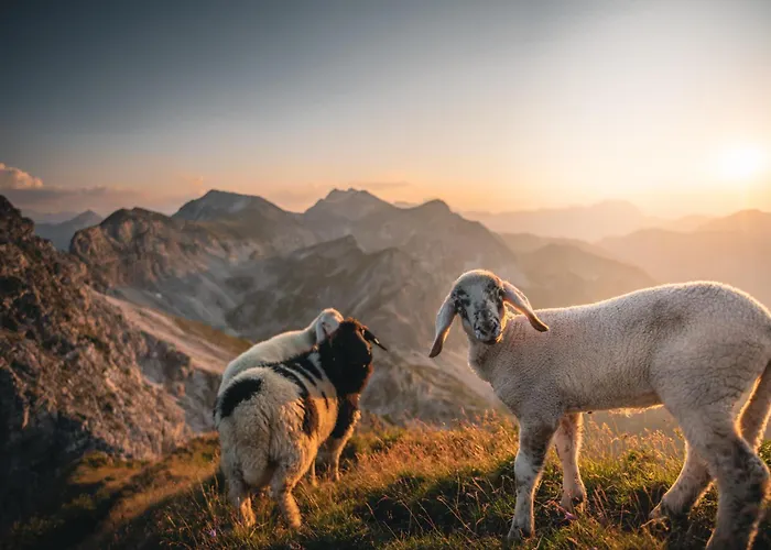 Haus Bergblick Apartment Obertauern